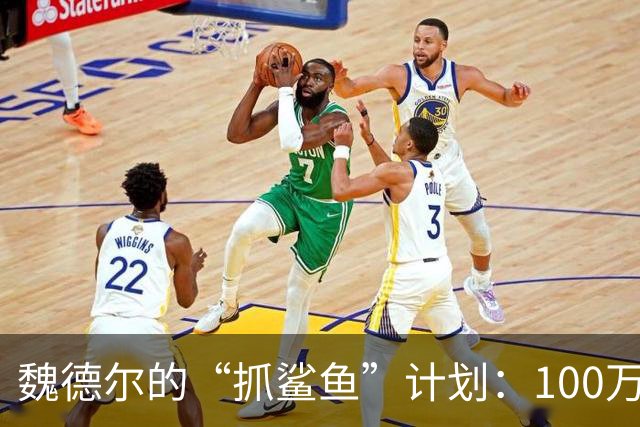 魏德尔的“抓鲨鱼”计划：100万乌克兰人，快走！